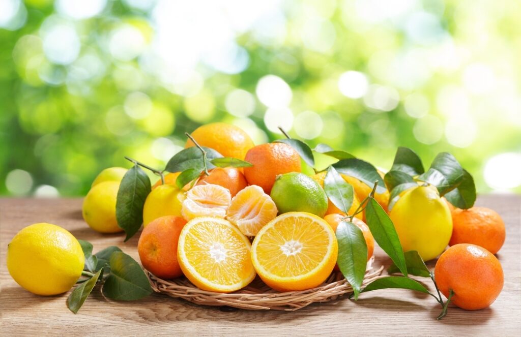 Bio Orangen kaufen